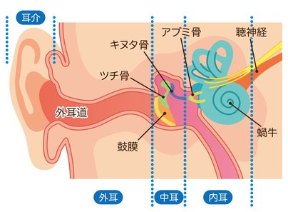 耳の病気