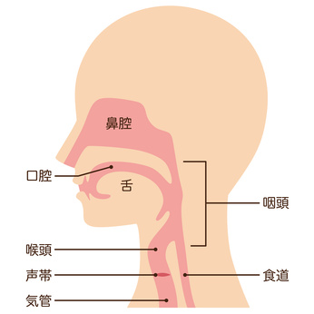 喉（のど）の病気